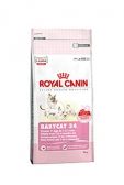 Royal canin Feline Babycat  2kg