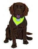 Šátek na krk reflex Safety Dog 28-40cm Žlutý KAR 1ks