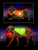 Vesta reflex Safety Dog krk30-40,bř36-46 Žlutá KAR 1ks