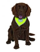 Šátek na krk reflex Safety Dog 48-60cm Žlutý KAR 1ks