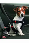 Postroj pes Bezpečnostní do auta XL černý KAR 1ks