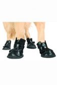 Bota ochranná pro psy Xtreme XXXL 4ks KAR