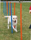 AGILITY slalom,tyče 12ks Modrá/Oranžová 3,3/115cm TR